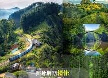 足球zg比分-足球ZG比分，绿茵场上的数字交响曲